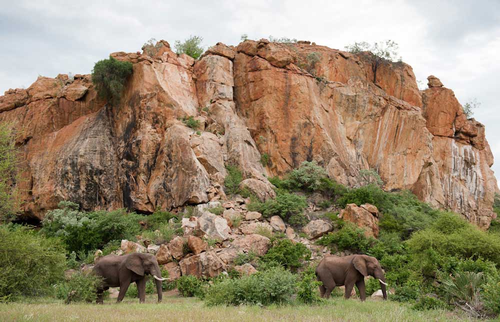 paesaggi del Mapungubwe national park in sudafrica
