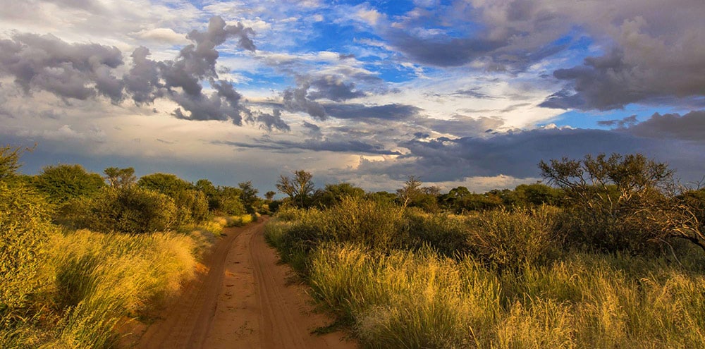 kgalagadi_transfrontiers_park