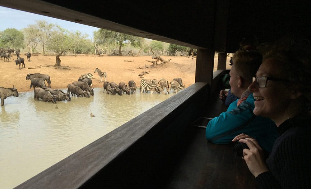 mkhuze_game_reserve_hide_kumasinga