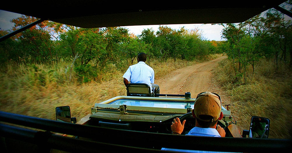 safari_manyeleti