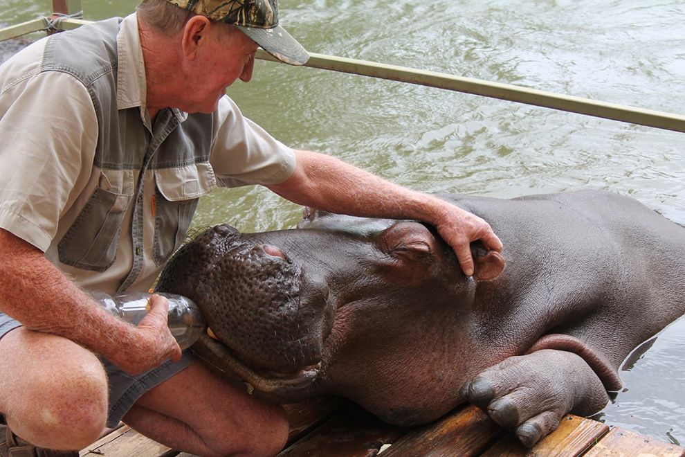 jessica hippo con tony