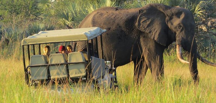tembe