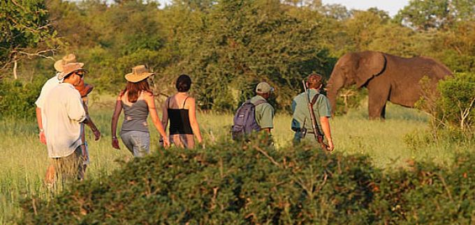 kruger wilderness trails