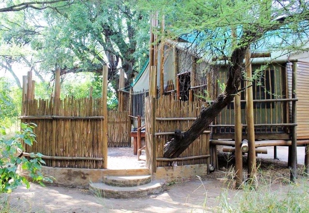 limpopo_forest-tented_camp_ mapungubwe