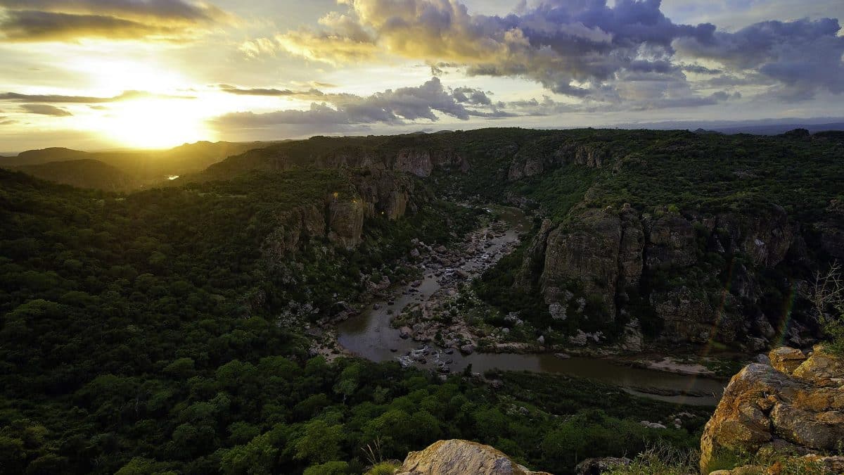 northern_kruger–view